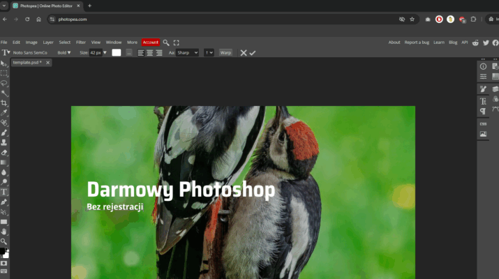Darmowy photoshop